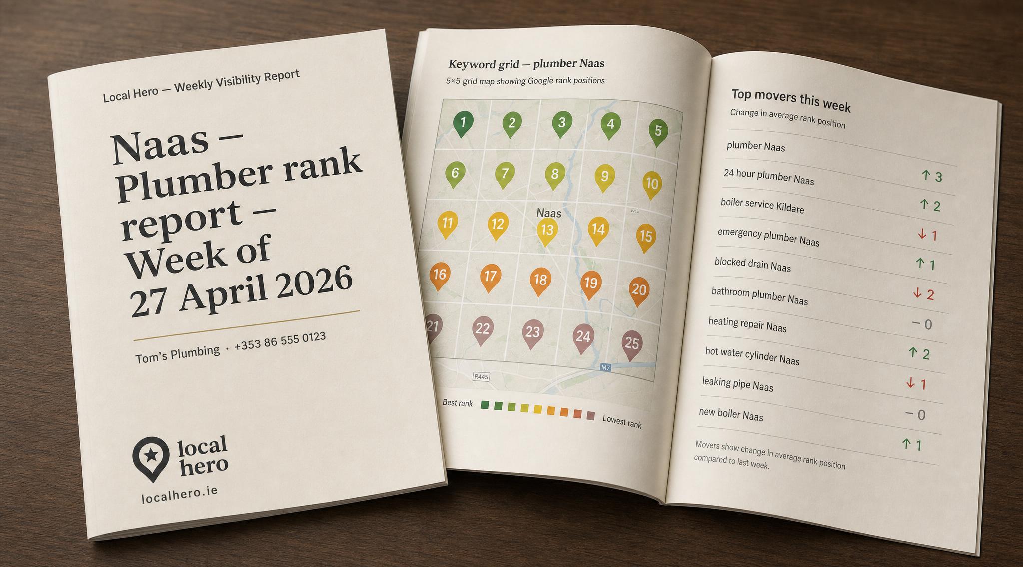 The weekly one-page Local Visibility rank report for a Naas plumber, showing a colour-coded grid.